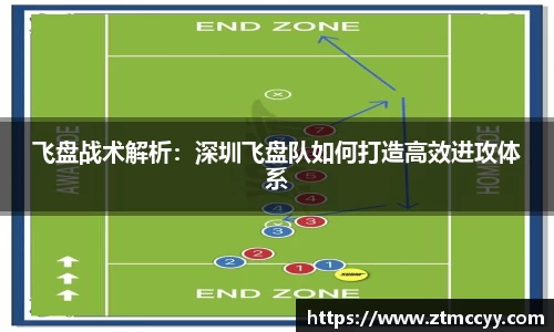 飞盘战术解析：深圳飞盘队如何打造高效进攻体系