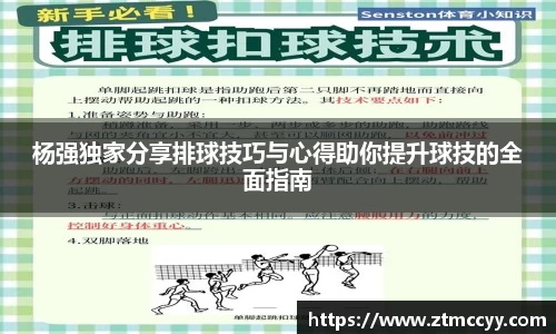 杨强独家分享排球技巧与心得助你提升球技的全面指南